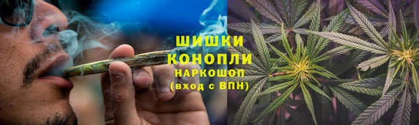 индика Пестово