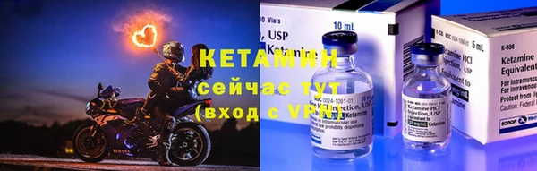 индика Пестово