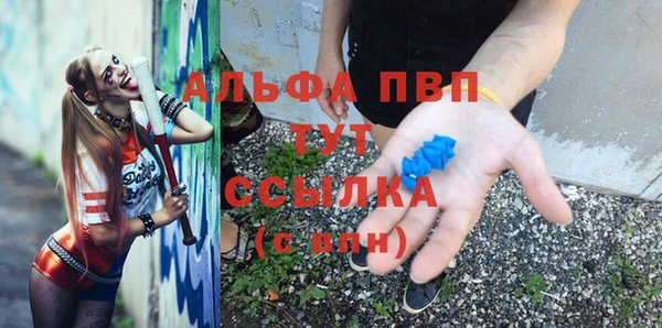 индика Пестово