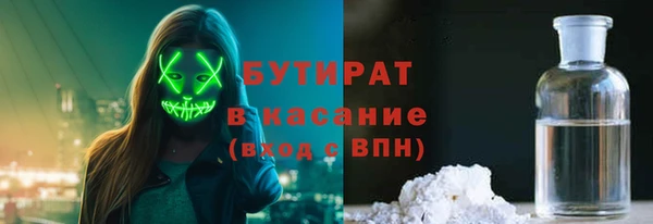 индика Пестово