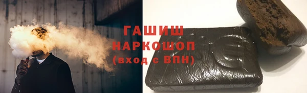 индика Пестово