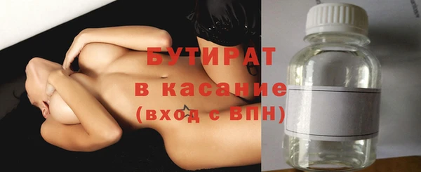 индика Пестово