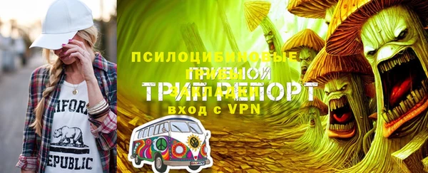 индика Пестово