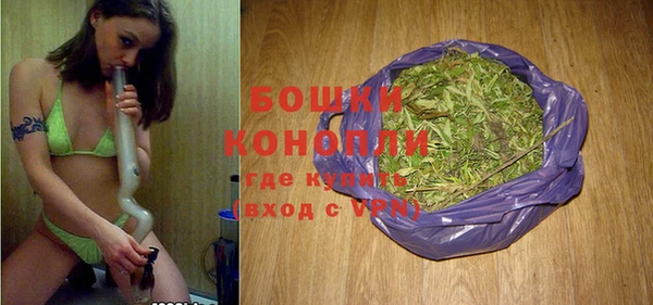 индика Пестово