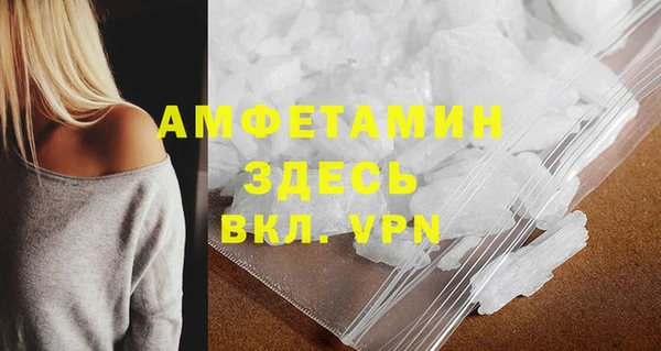 индика Пестово