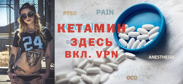 индика Пестово