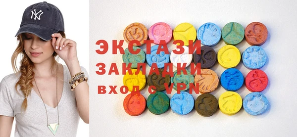 индика Пестово