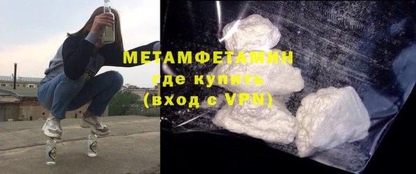 индика Пестово