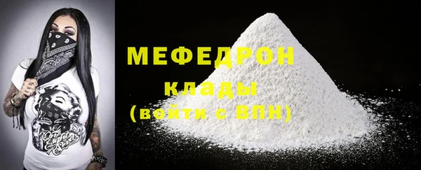индика Пестово