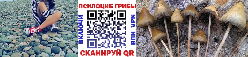 Псилоцибиновые грибы MAGIC MUSHROOMS  Спас-Клепики 